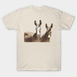 Wildlife, wild burros, Oatman, Arizona T-Shirt